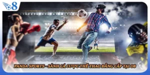 Panda Sports - Sảnh Cá Cược Thể Thao Đẳng Cấp Tại O8